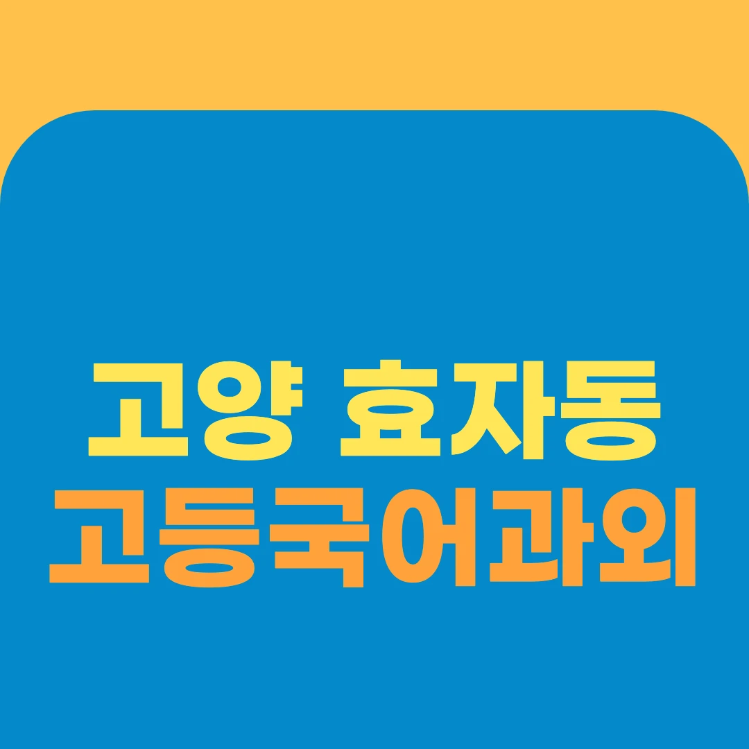 고양 효자동 고등국어과외