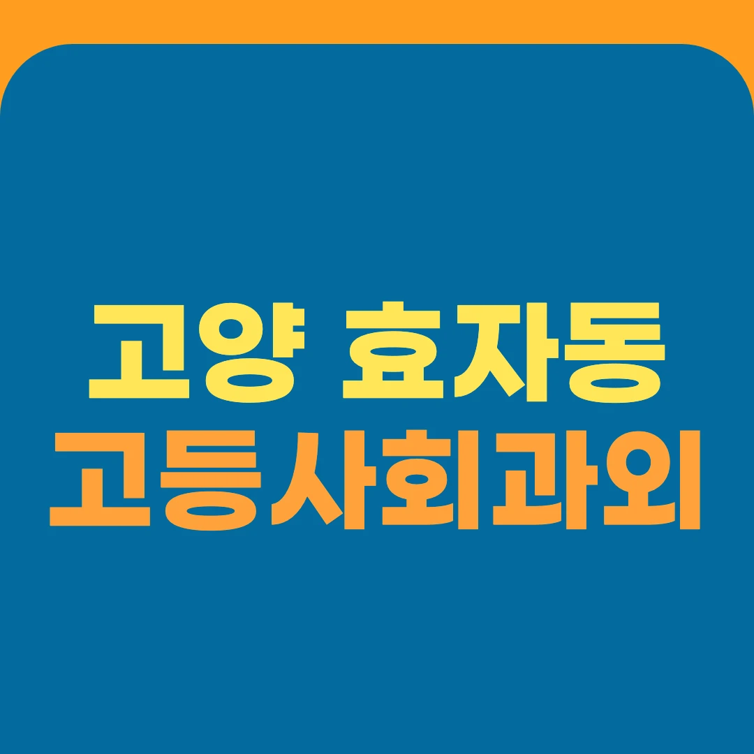 고양 효자동 고등사회과외