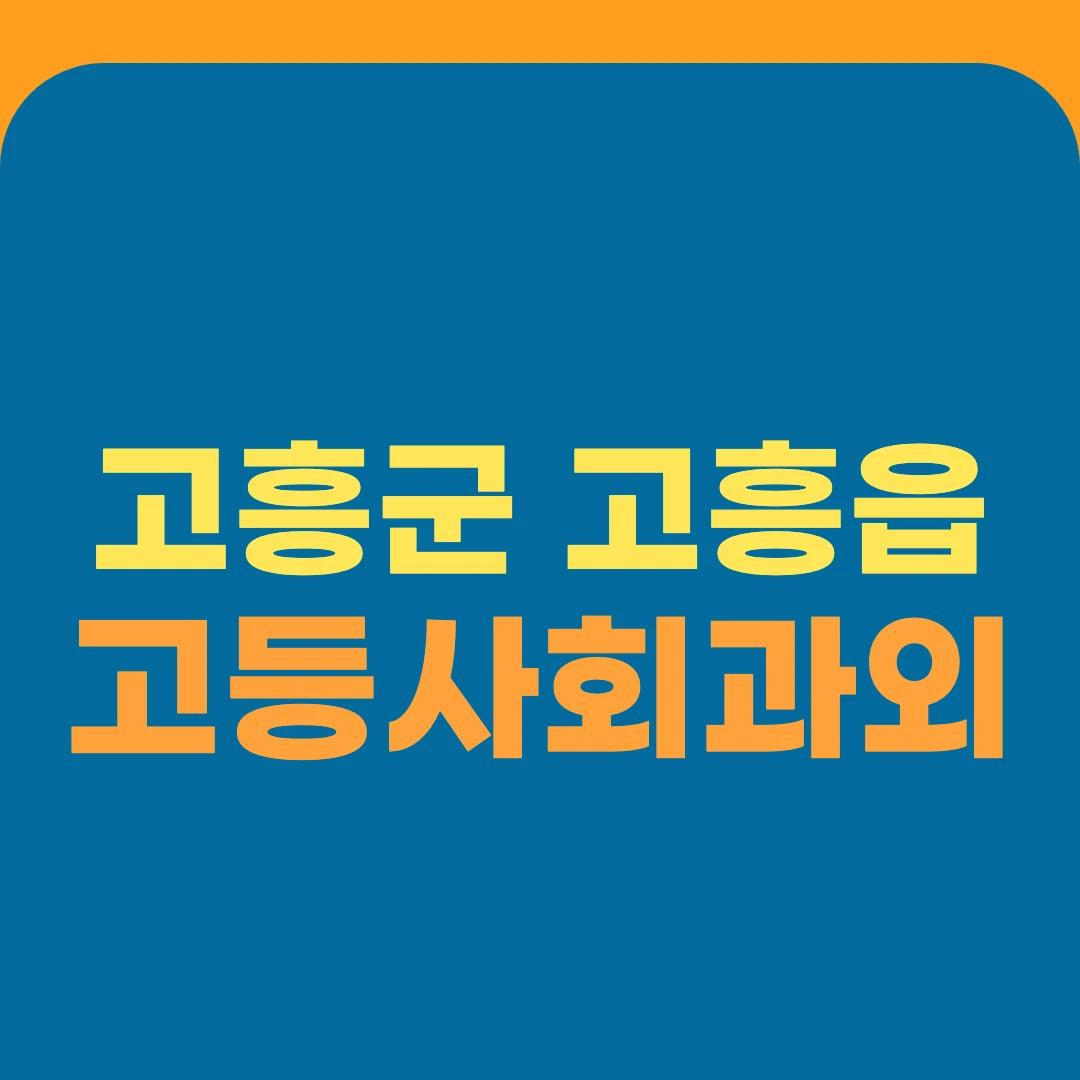 고흥군 고흥읍 고등사회과외