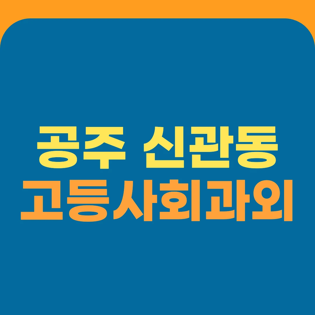 공주 신관동 고등사회과외