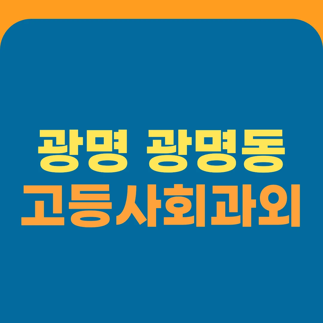 광명 광명동 고등사회과외