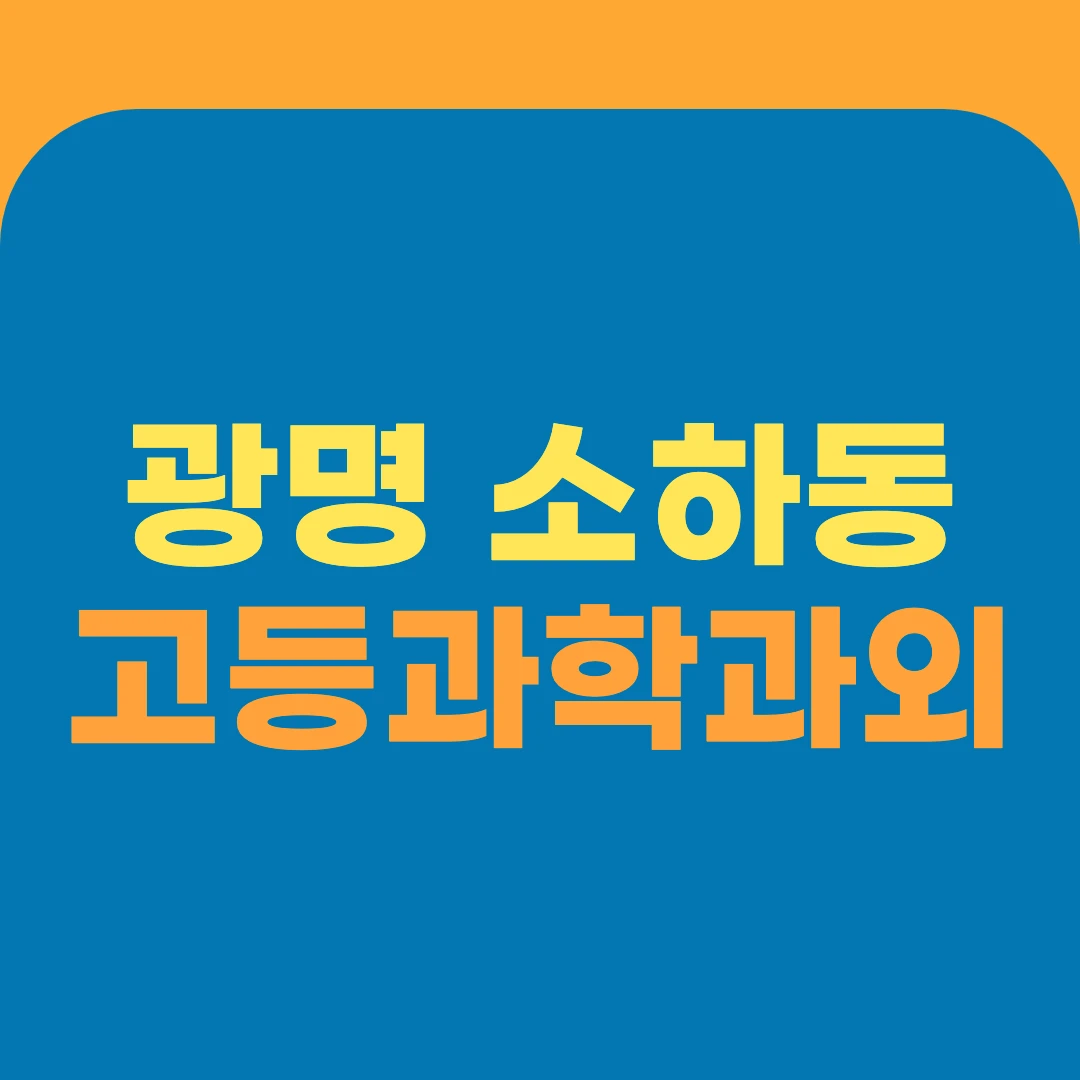 광명 소하동 고등과학과외