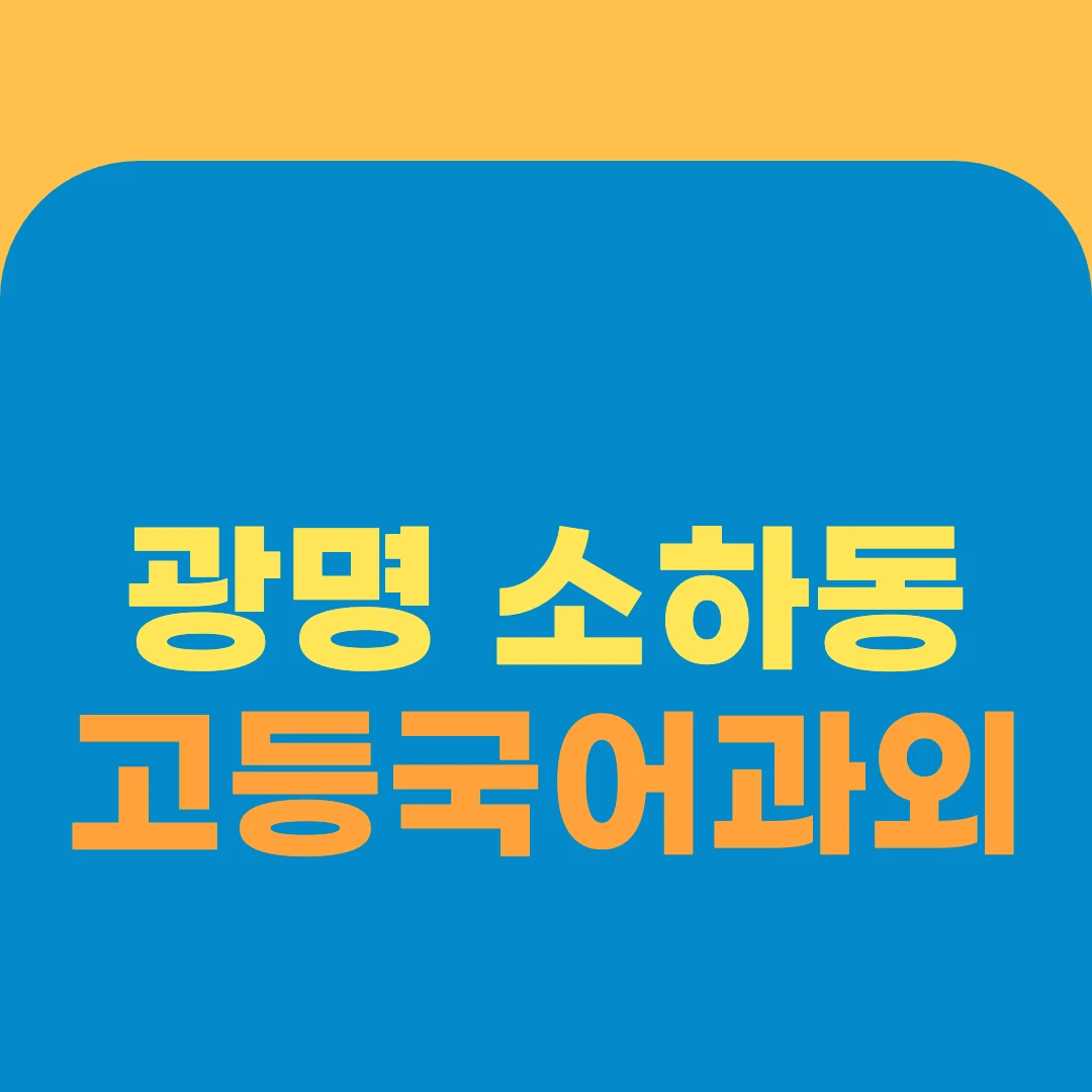 광명 소하동 고등국어과외