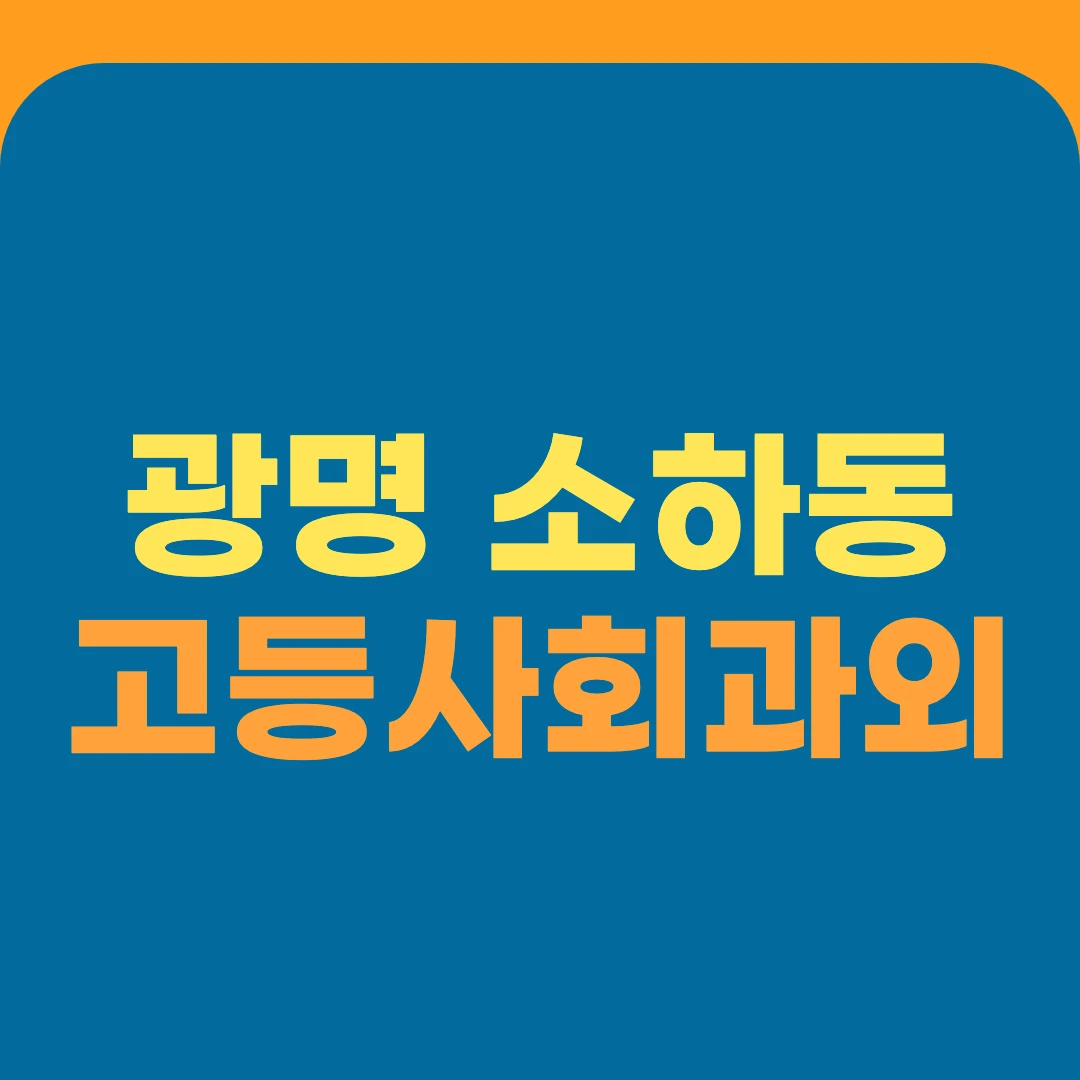 광명 소하동 고등사회과외