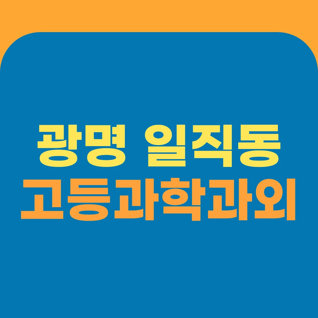 광명 일직동 고등과학과외