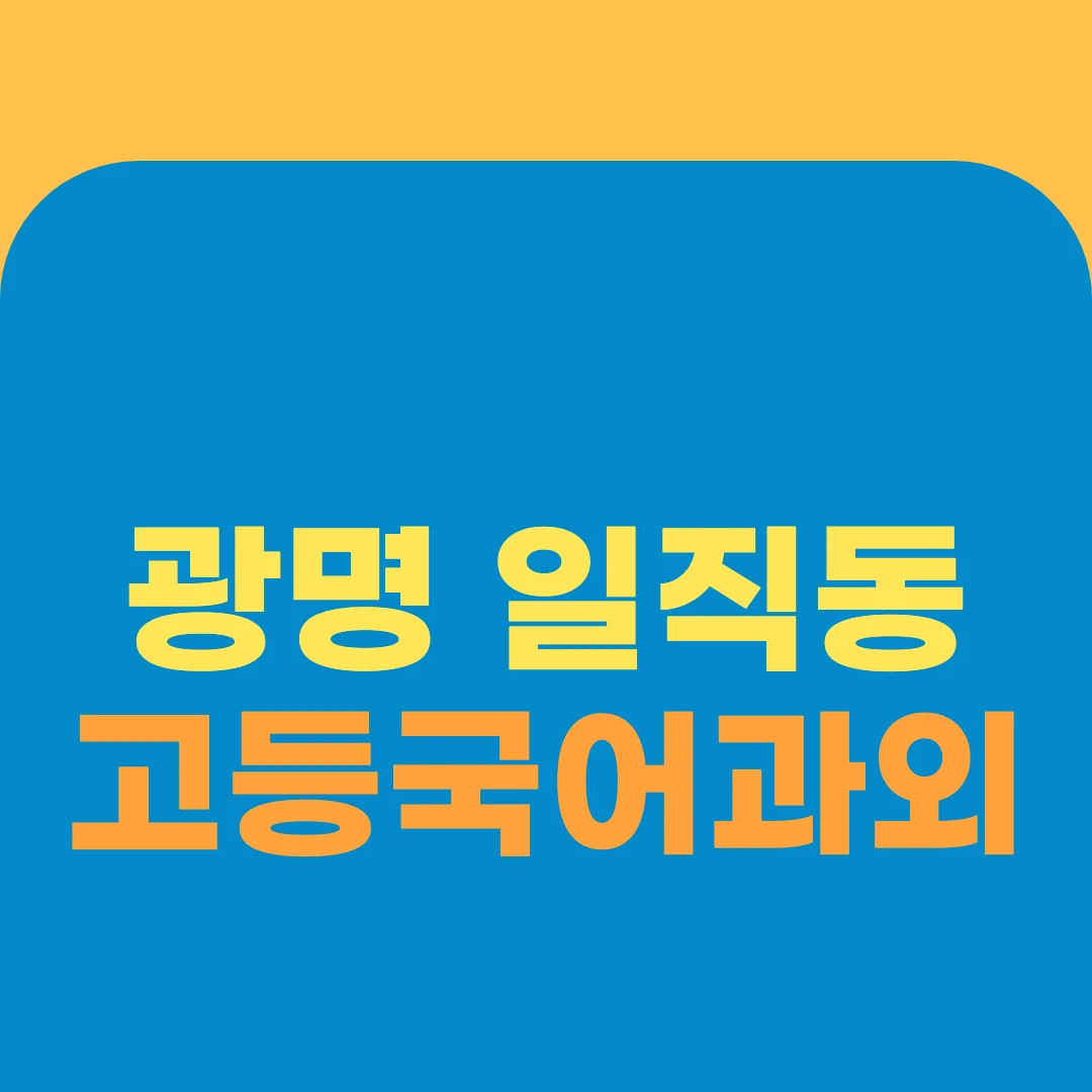 광명 일직동 고등국어과외