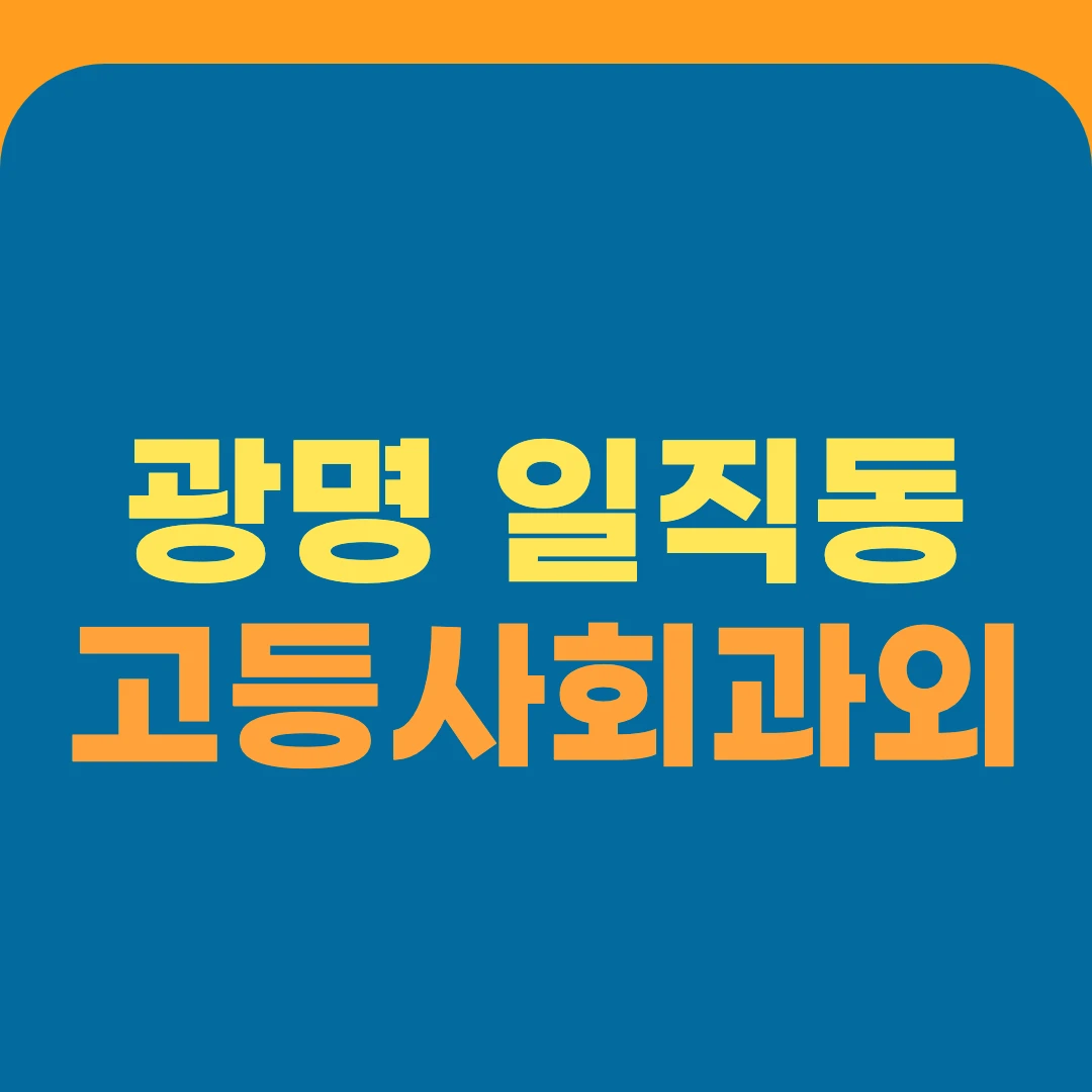 광명 일직동 고등사회과외
