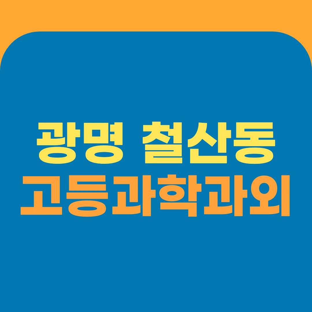 광명 철산동 고등과학과외