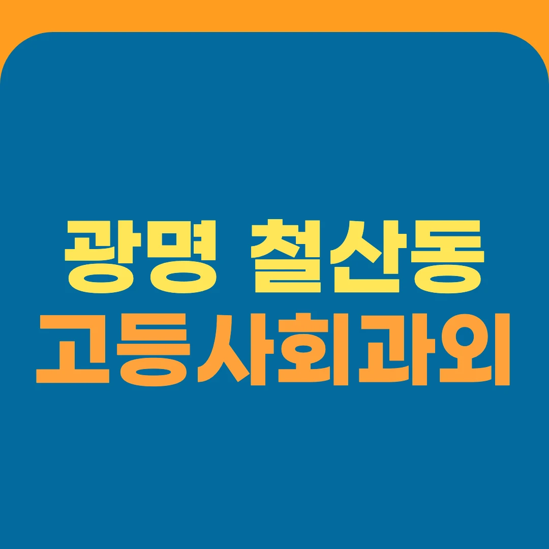 광명 철산동 고등사회과외