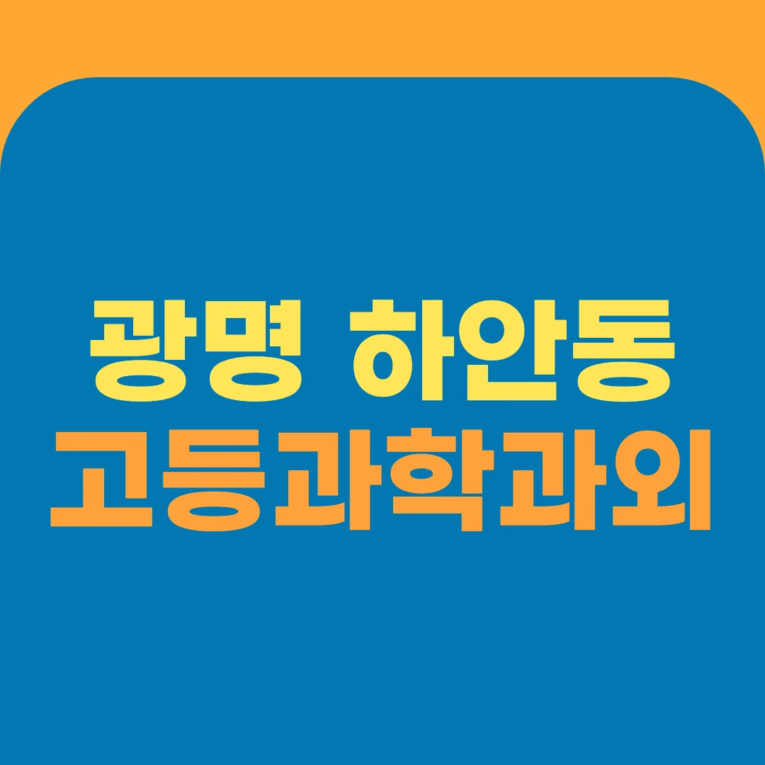 광명 하안동 고등과학과외