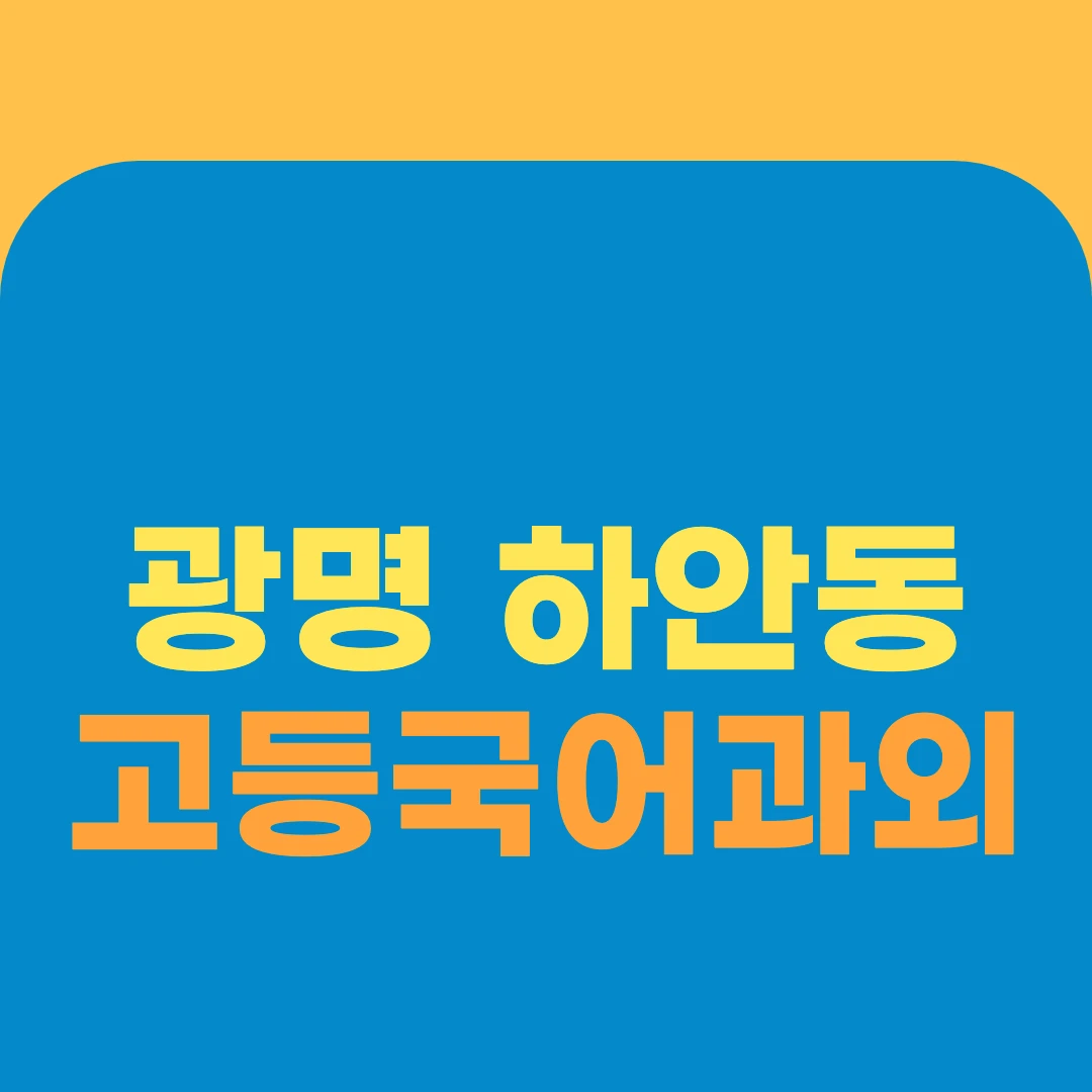 광명 하안동 고등국어과외