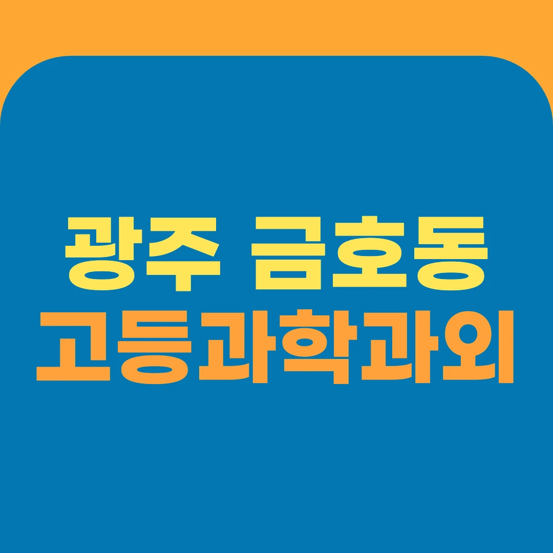 광주 금호동 고등과학과외