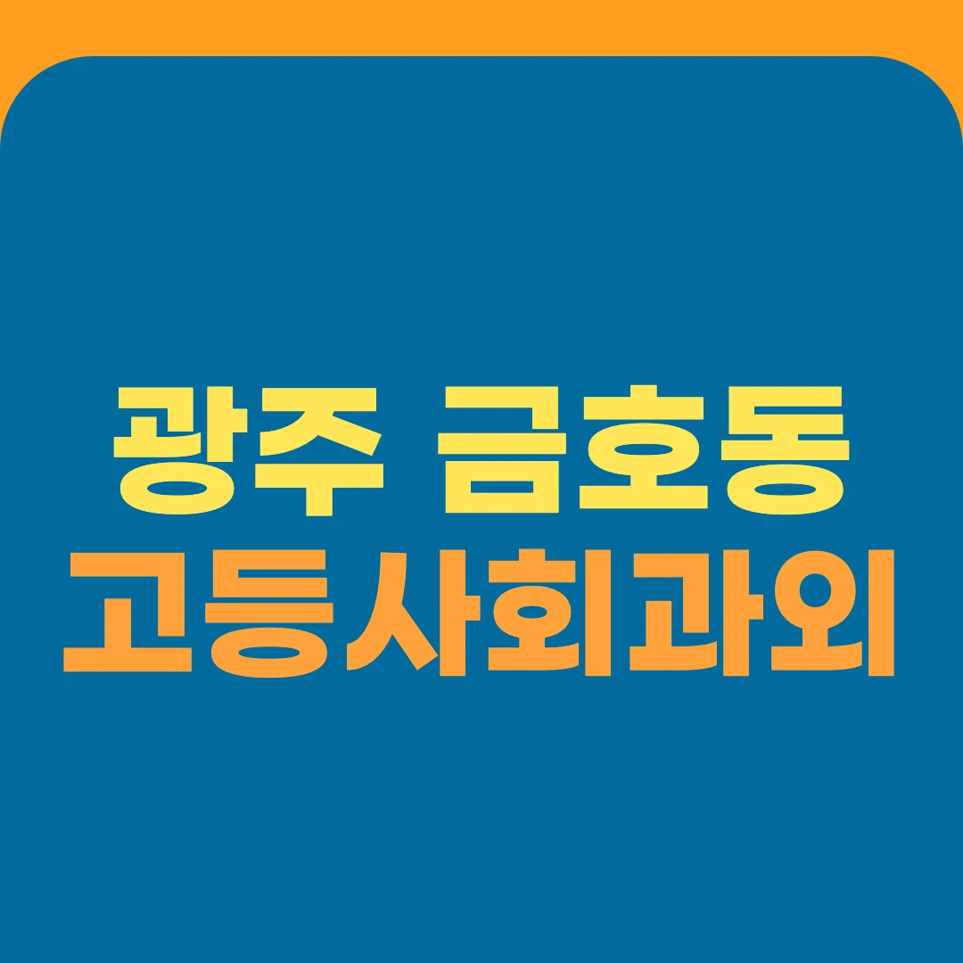 광주 금호동 고등사회과외
