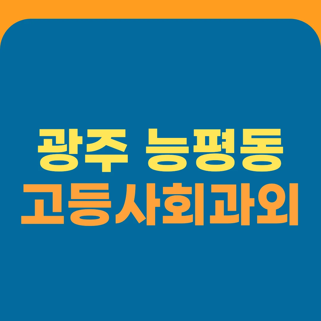 광주 능평동 고등사회과외