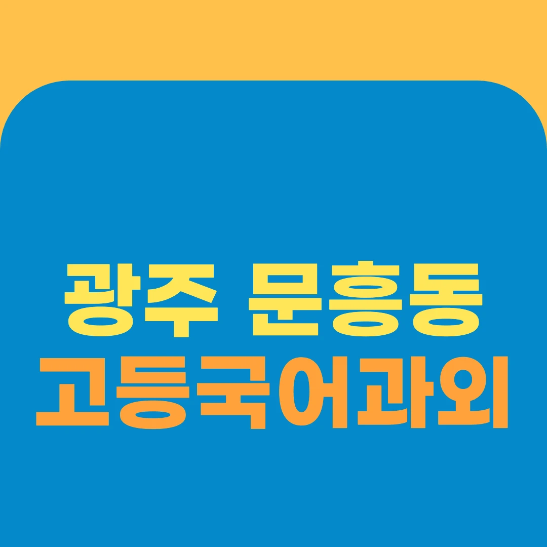 광주 문흥동 고등국어과외