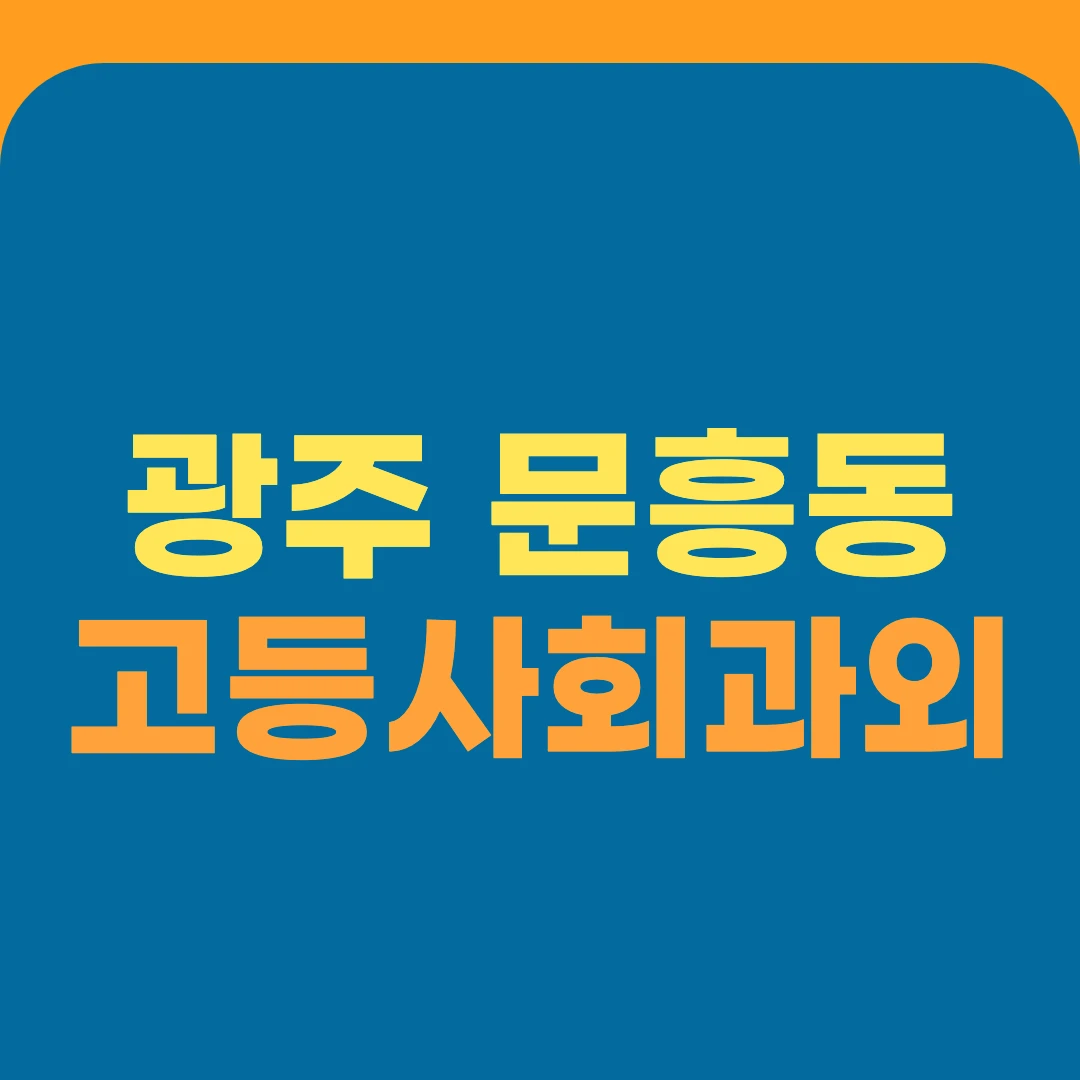광주 문흥동 고등사회과외