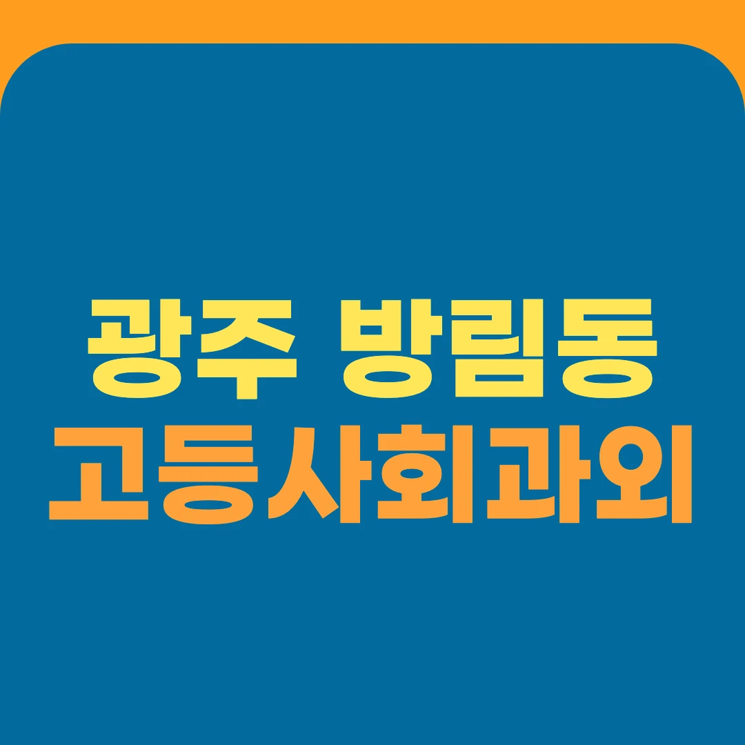 광주 방림동 고등사회과외