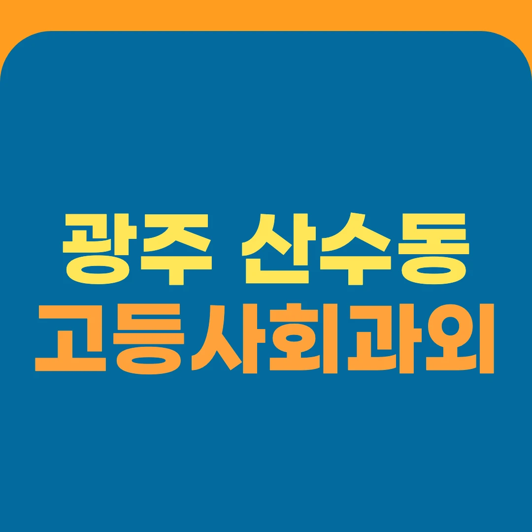 광주 산수동 고등사회과외