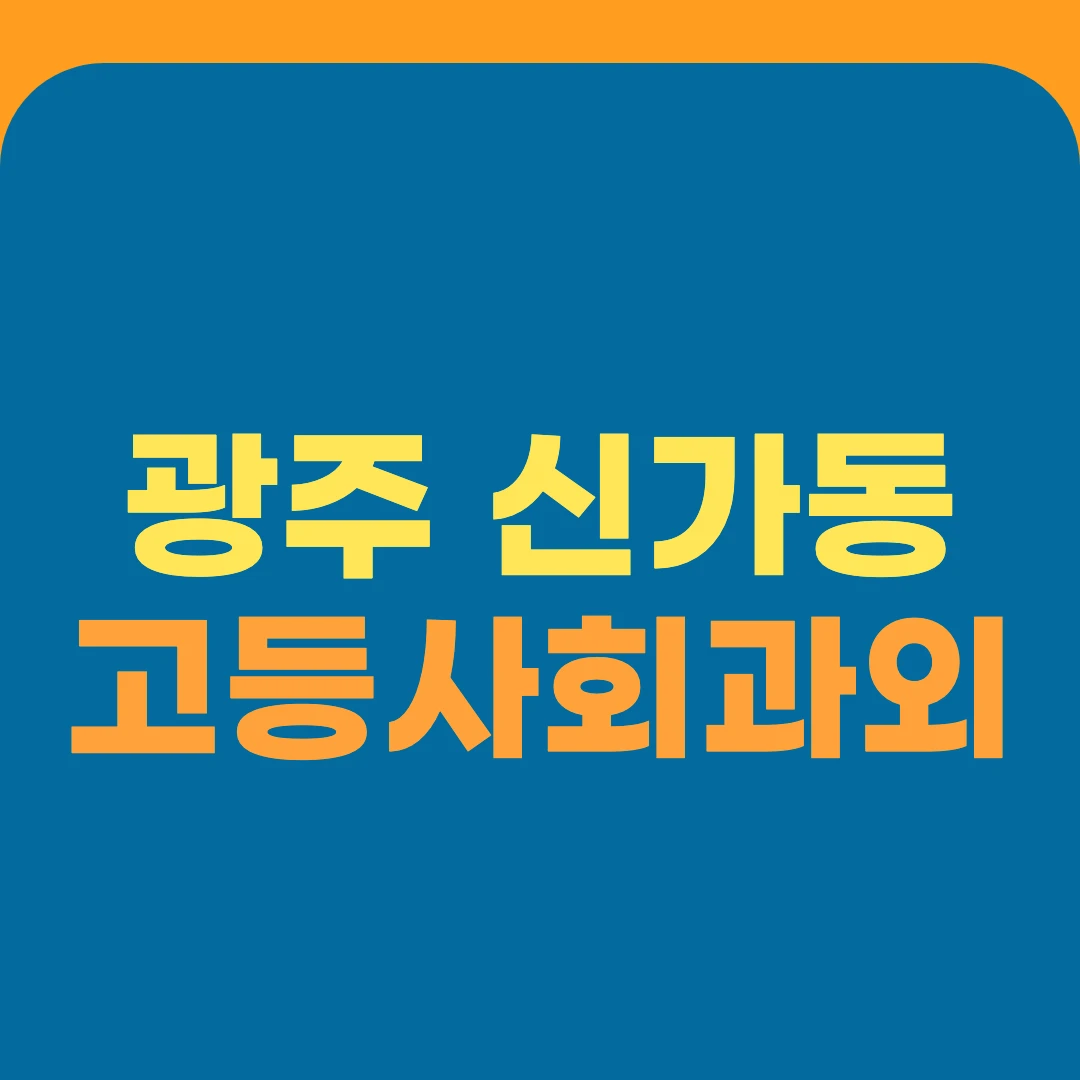 광주 신가동 고등사회과외