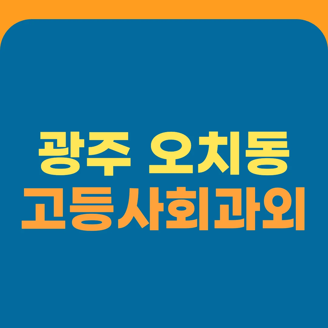 광주 오치동 고등사회과외