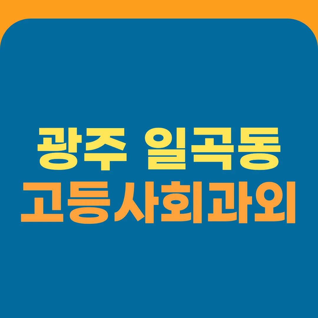 광주 일곡동 고등사회과외