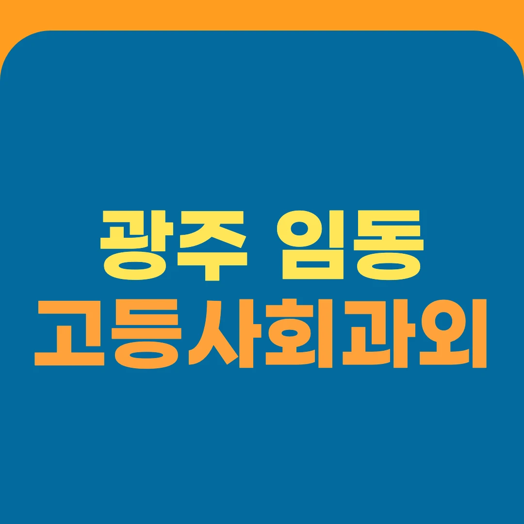 광주 임동 고등사회과외