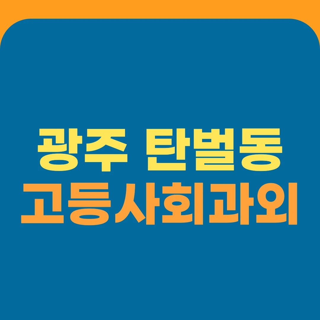 광주 탄벌동 고등사회과외