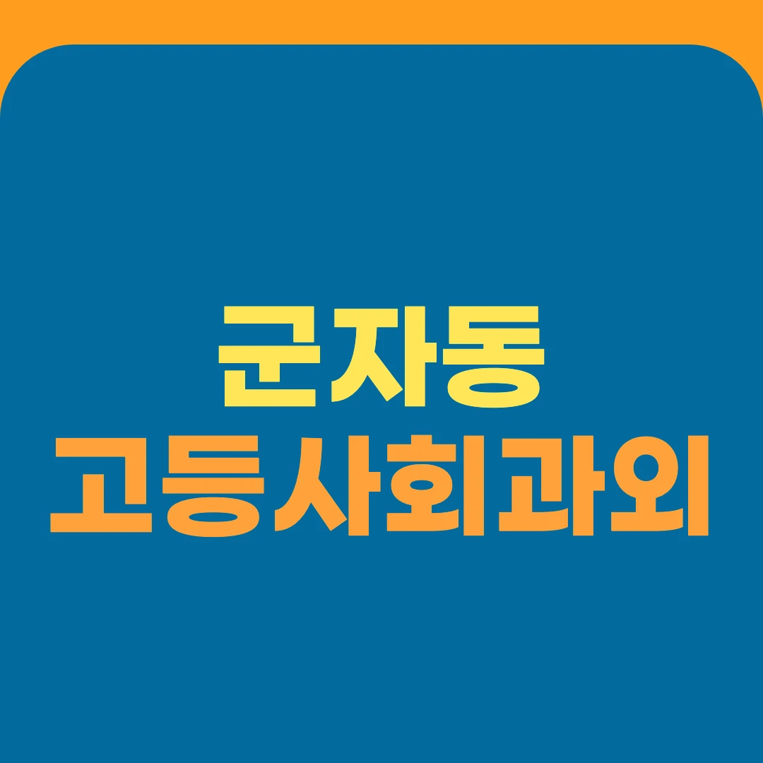 군자동 고등사회과외