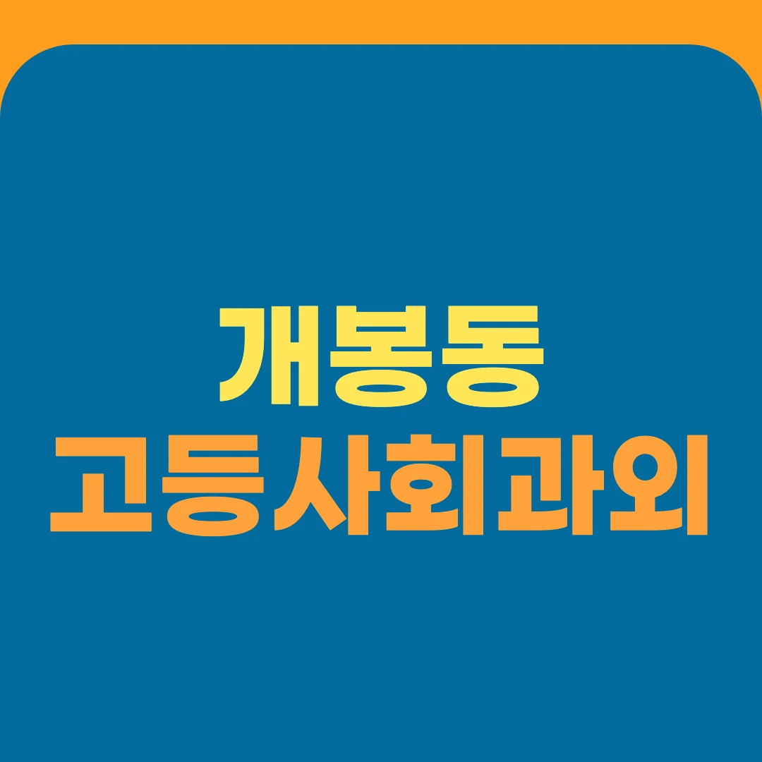 개봉동 고등사회과외