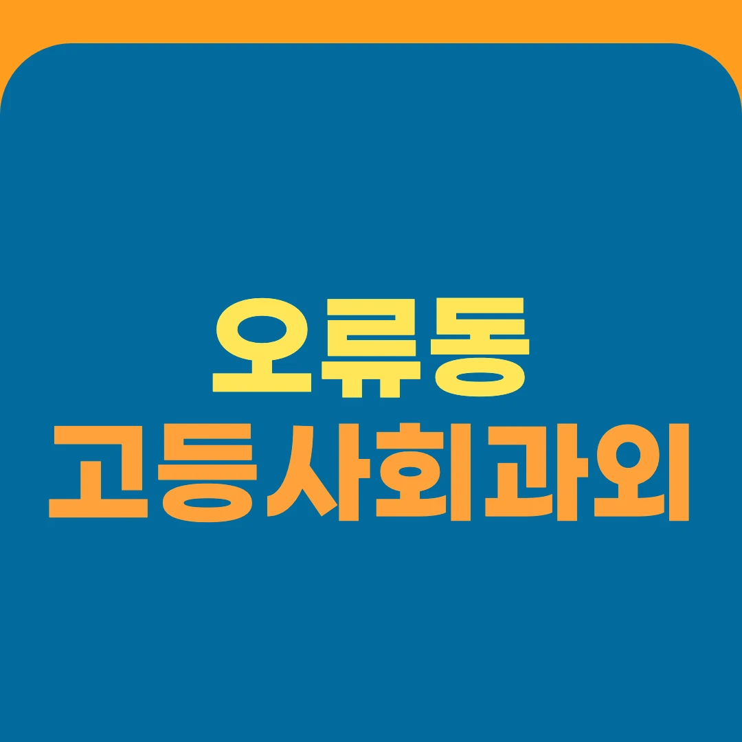 오류동 고등사회과외