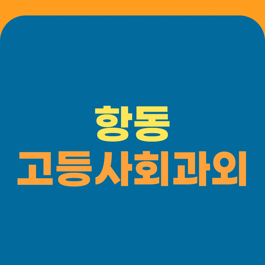 항동 고등사회과외