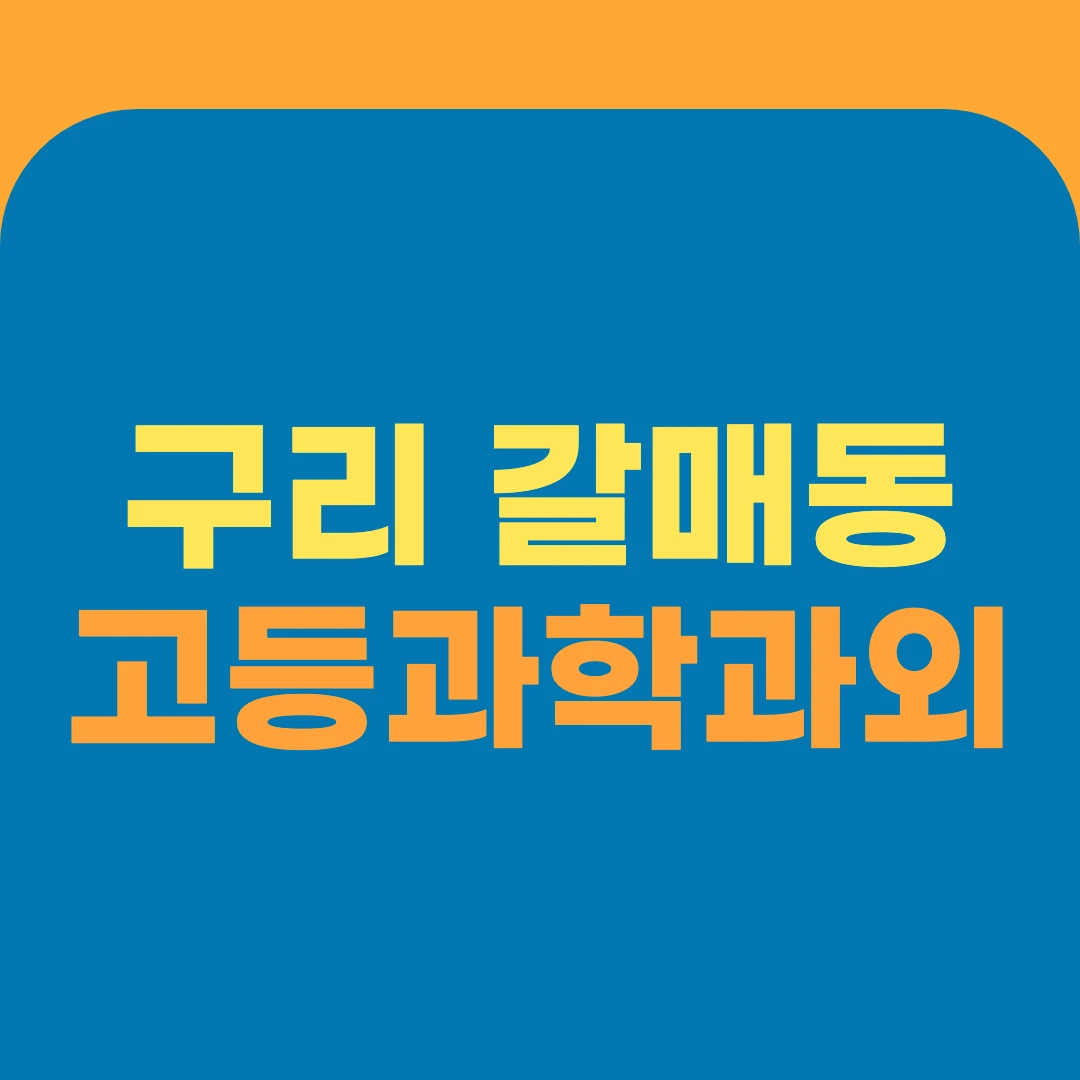 구리 갈매동 고등과학과외