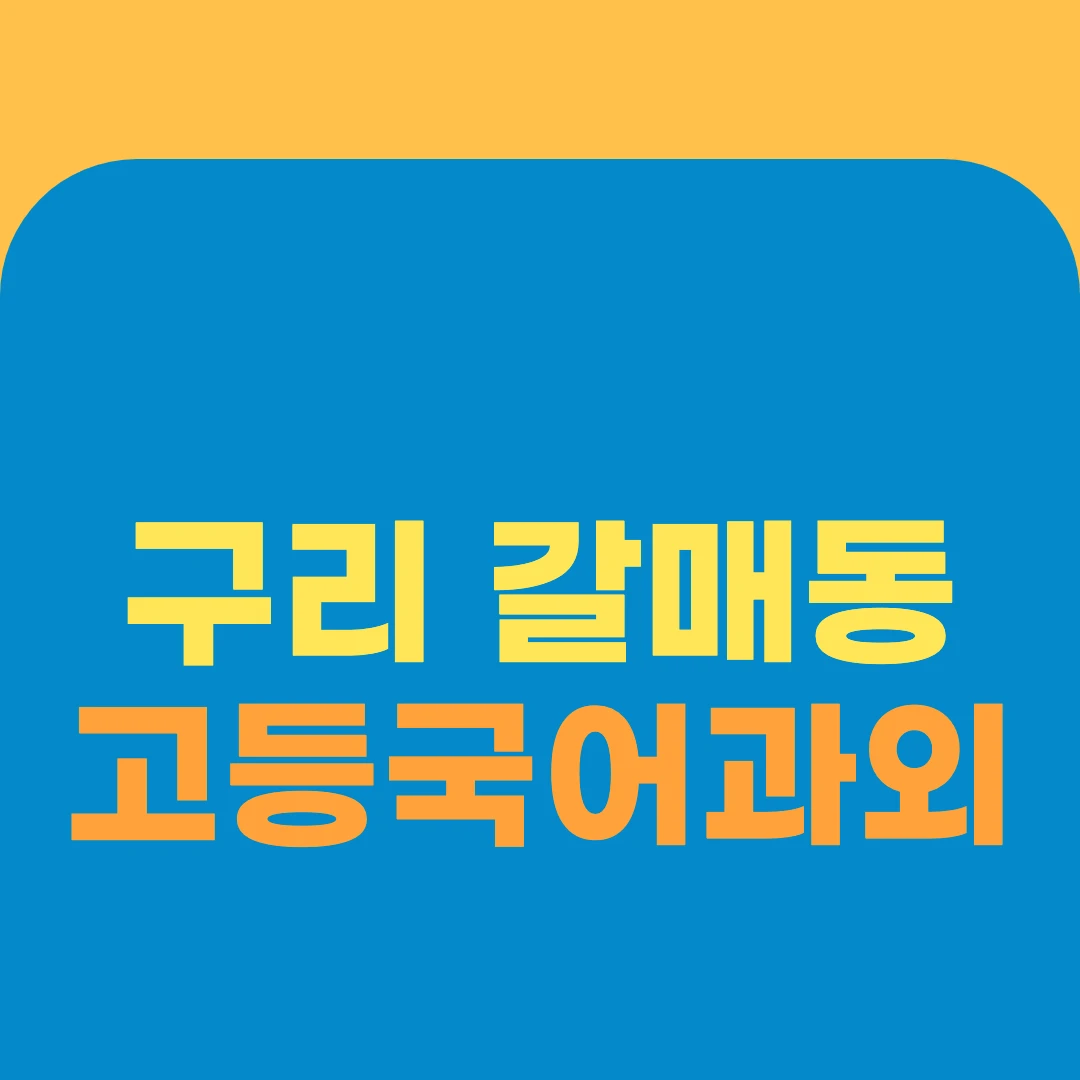 구리 갈매동 고등국어과외