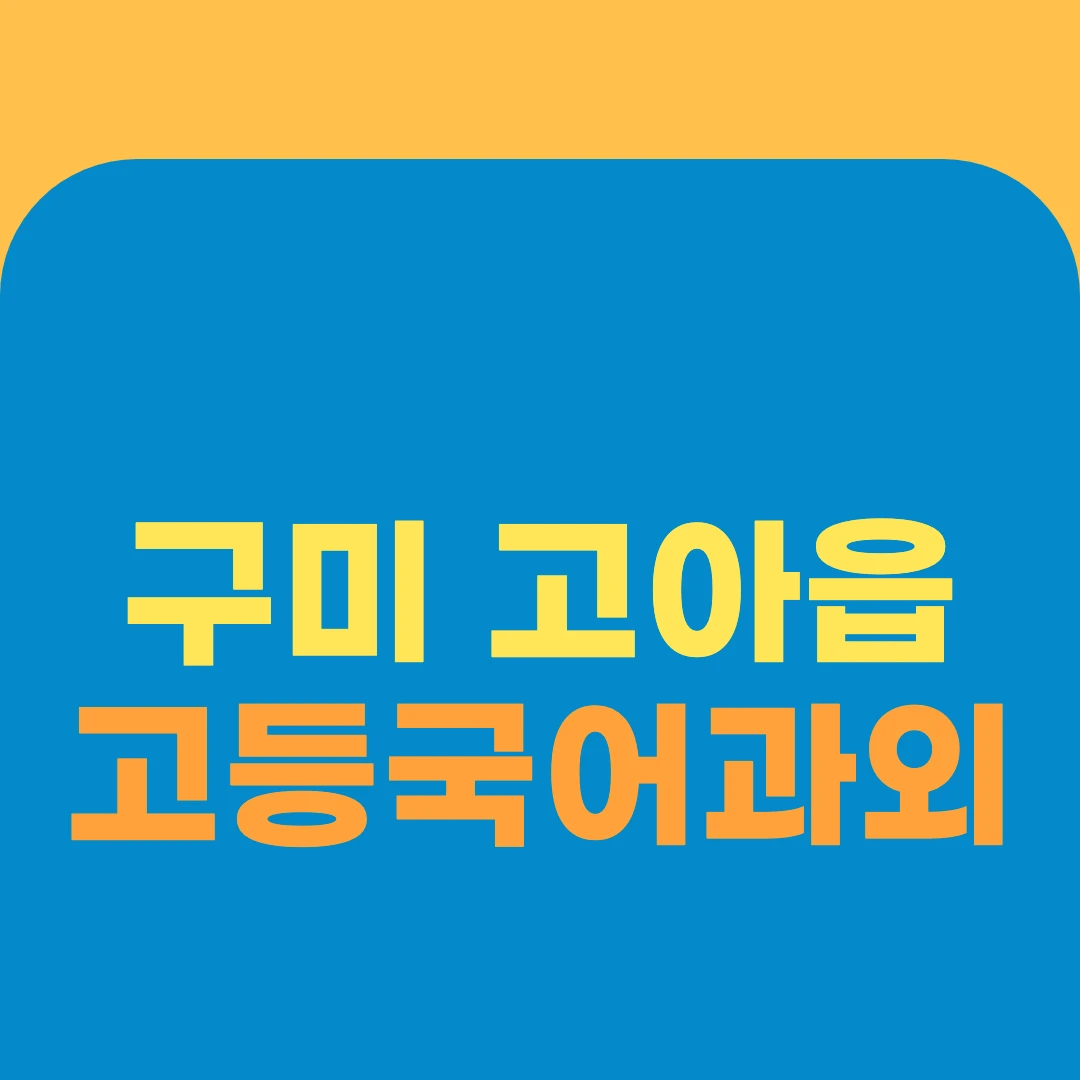 구미 고아읍 고등국어과외