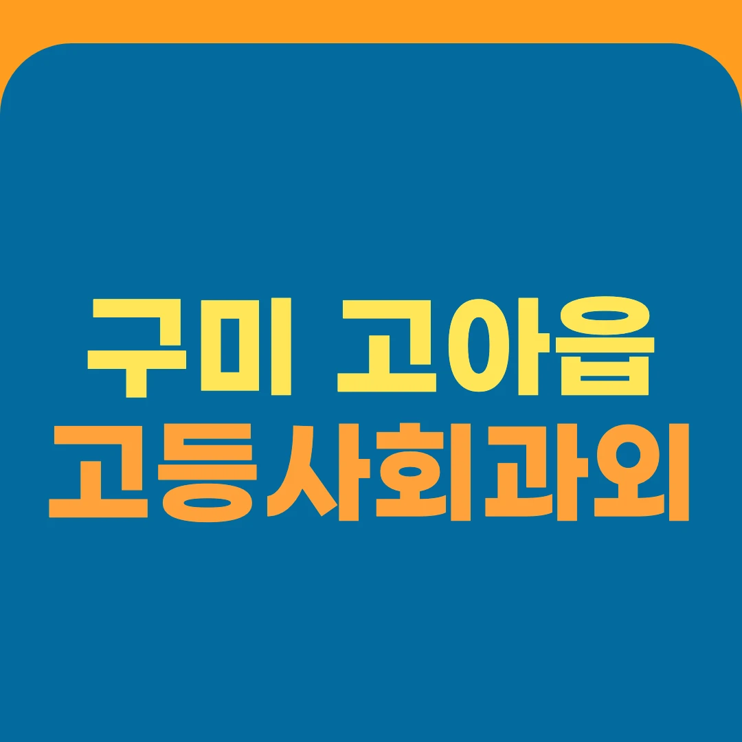 구미 고아읍 고등사회과외