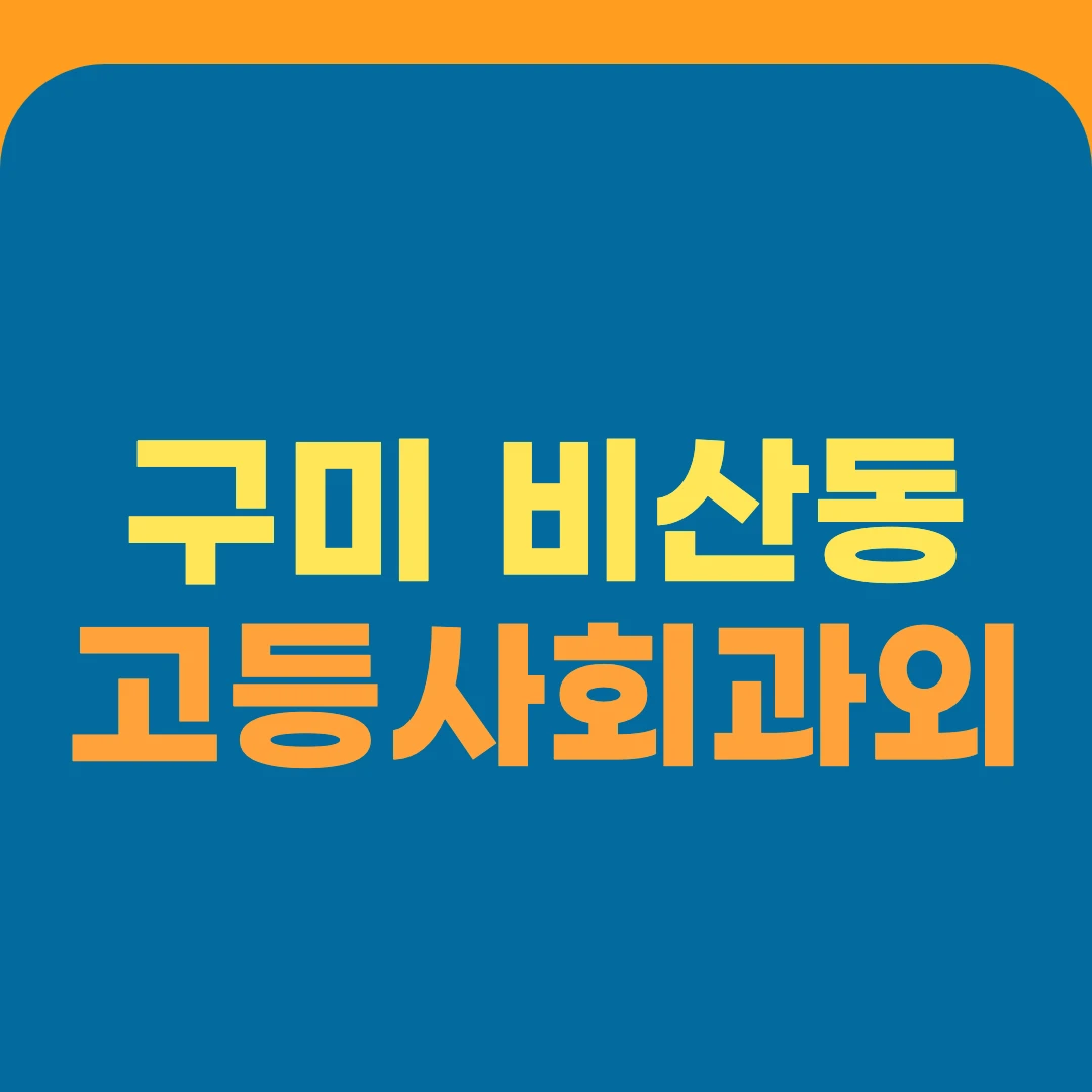 구미 비산동 고등사회과외