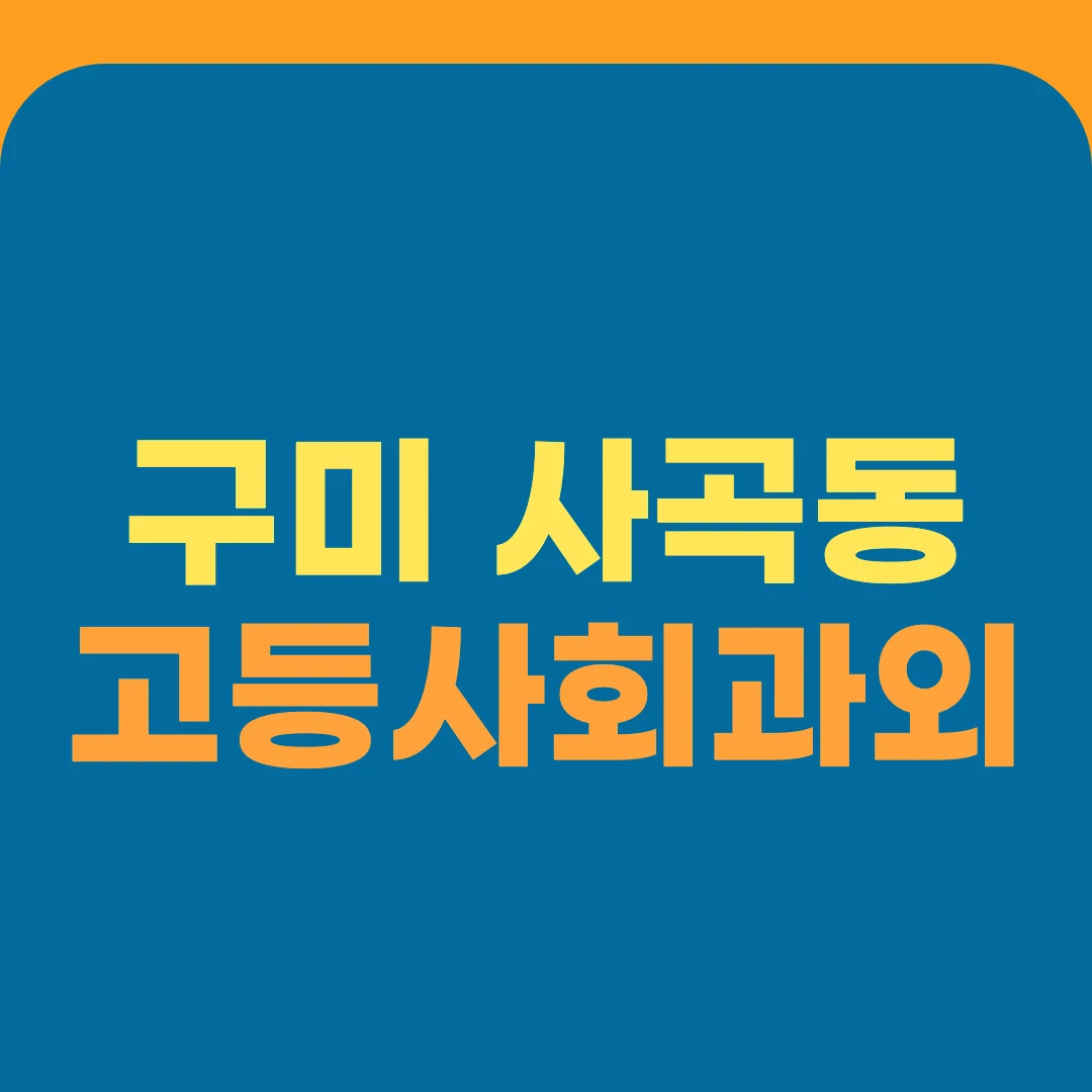 구미 사곡동 고등사회과외
