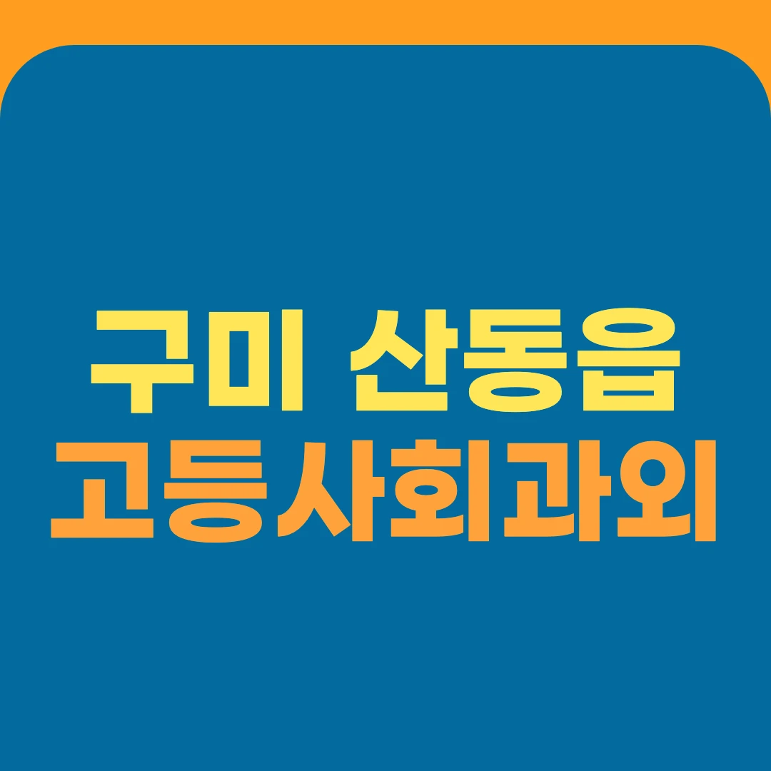 구미 산동읍 고등사회과외