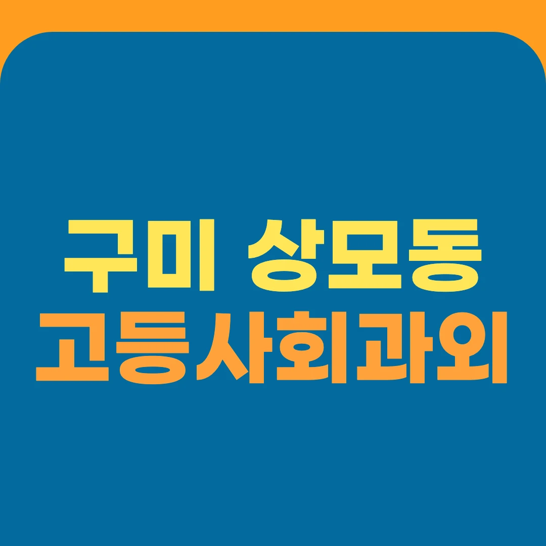 구미 상모동 고등사회과외