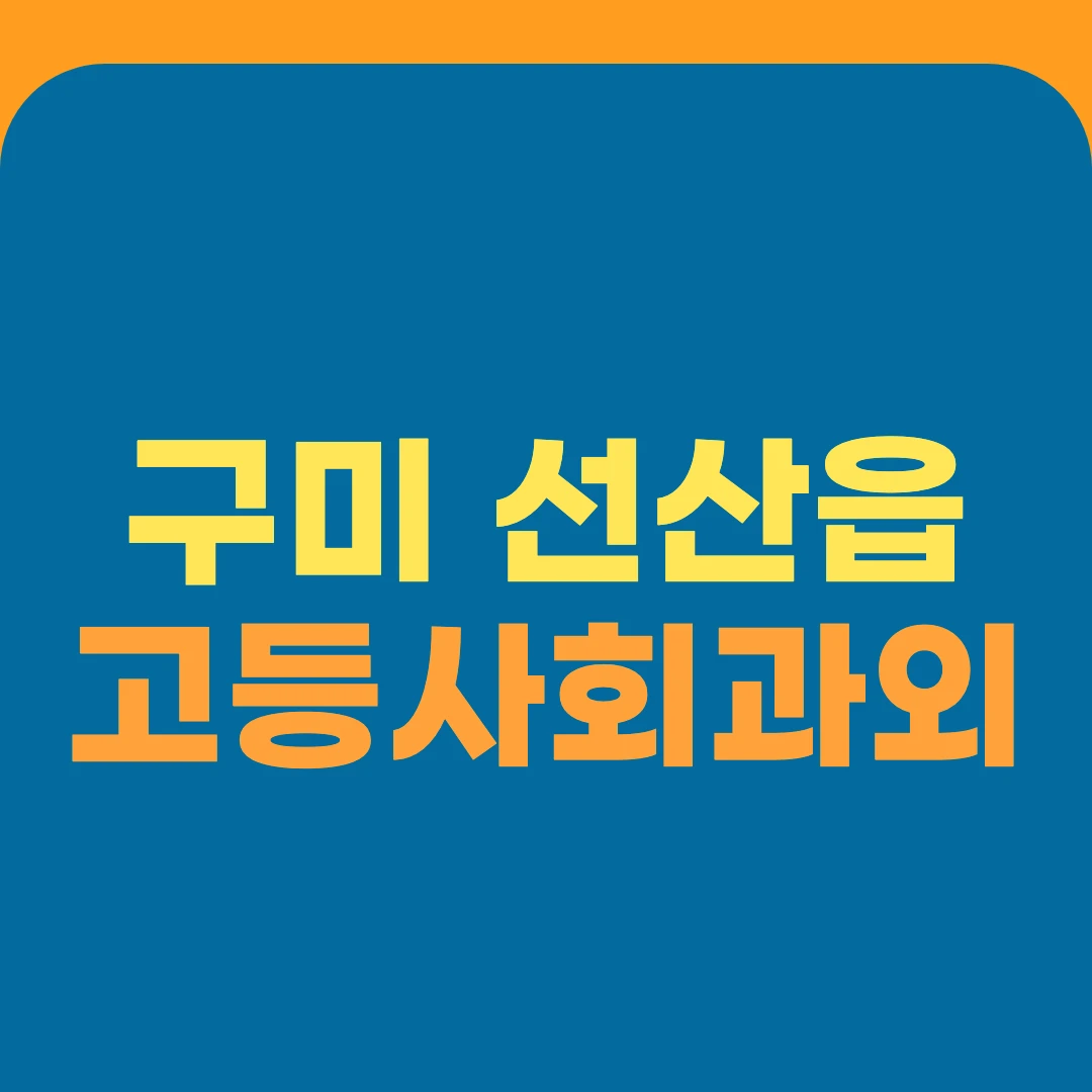 구미 선산읍 고등사회과외
