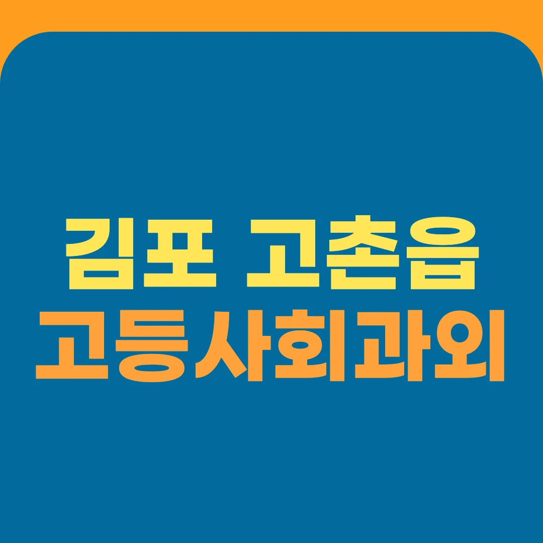 김포 고촌읍 고등사회과외