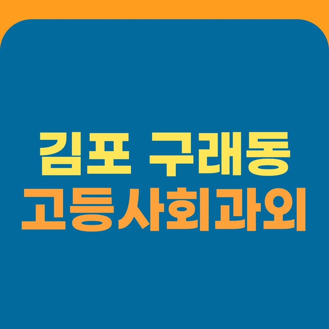 김포 구래동 고등사회과외
