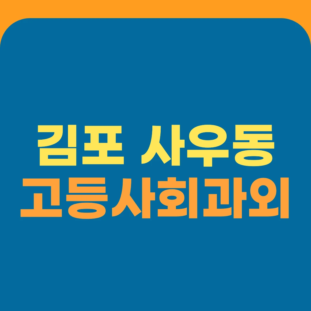 김포 사우동 고등사회과외