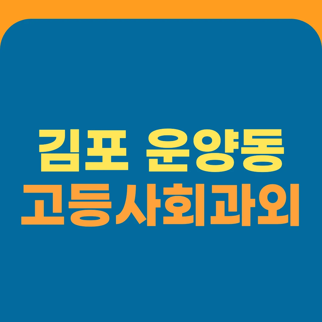김포 운양동 고등사회과외