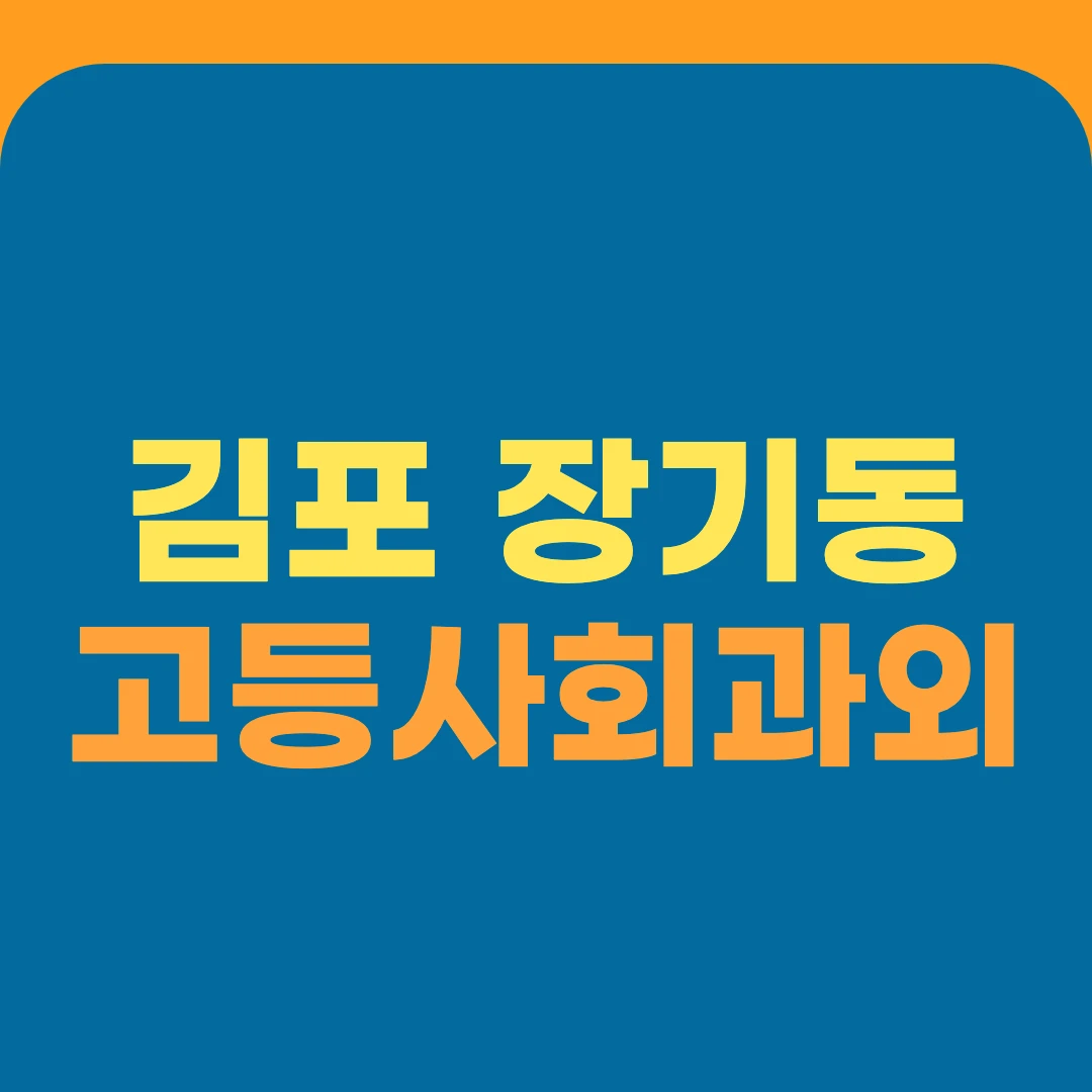 김포 장기동 고등사회과외