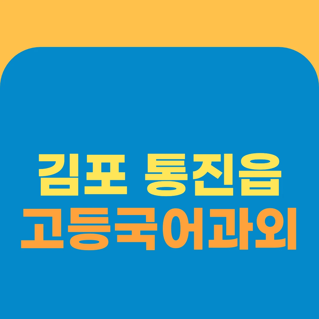 김포 통진읍 고등국어과외