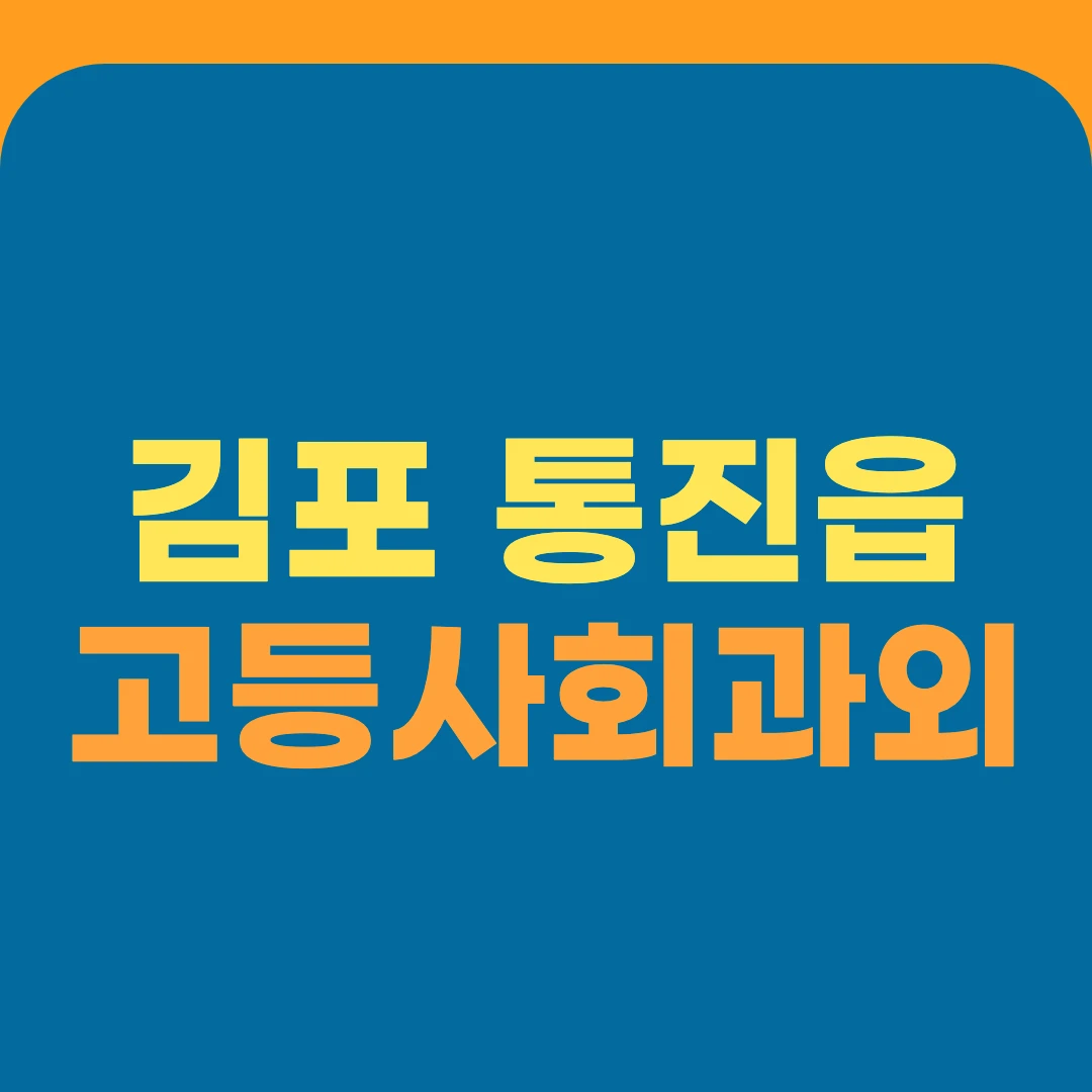 김포 통진읍 고등사회과외