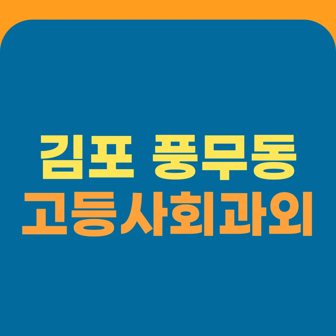 김포 풍무동 고등사회과외