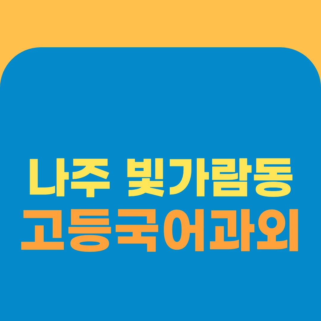 나주 빛가람동 고등국어과외