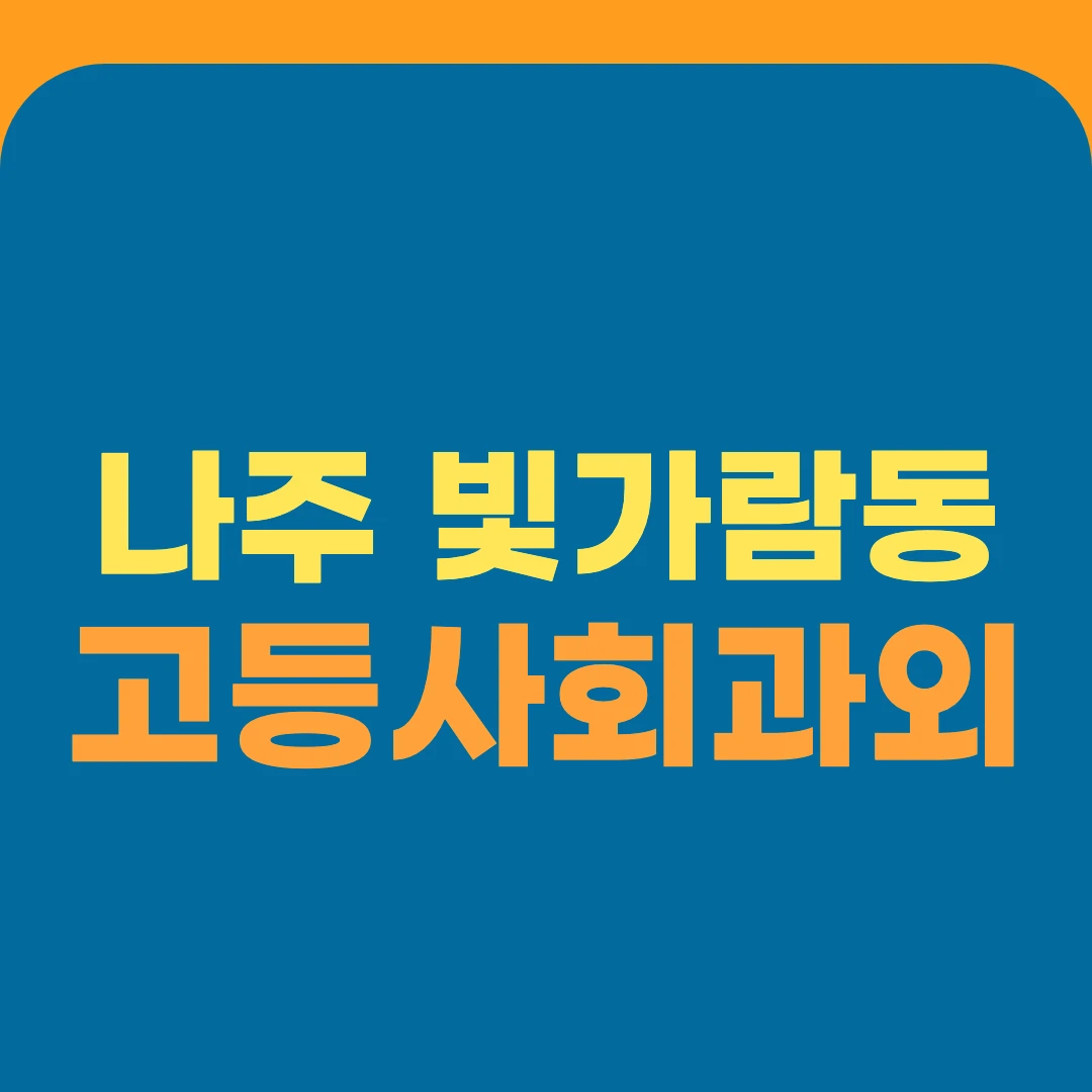 나주 빛가람동 고등사회과외